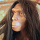 View taken July 8, 2010, of a mannequin of Tautavel Man presented at the prehistoric museum in Tautavel in France
ERIC CABANIS/Getty Images